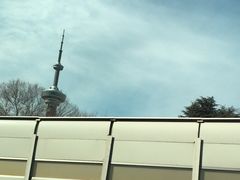 -南京古林公园