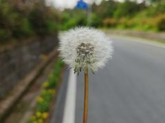 -四明山国家森林公园