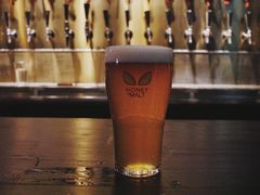 -蜜和麦精酿啤酒吧honey&malt(桐梓林店)