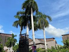 -三亚湾红树林度假世界(木棉酒店)