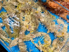 -吴记富苑(朝阳店)