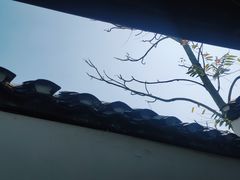 -凤凰山斑鱼馆(恭城店)