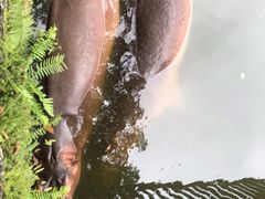 -海南热带野生动植物园