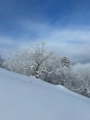 -大秃顶子山
