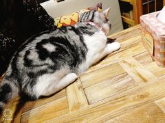 -小时光咖啡馆(开森度假森林店)