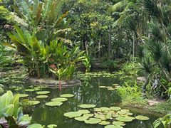 -植物园哈利亚餐厅