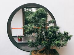 -食膳公园包子铺(烈士公园店)