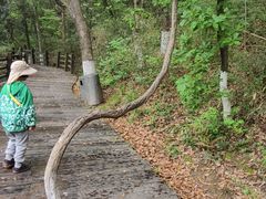 -天目湖山水园