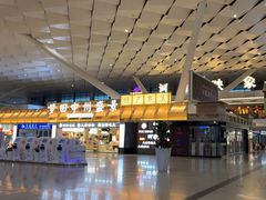 -郑州新郑国际机场-T2航站楼