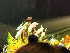 -广州长隆国际大马戏