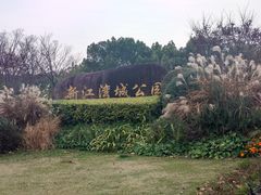 -新江湾城公园