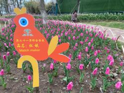 -玄武湖景区-情侣园游乐场