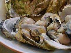 生蚝仔-鑫鸿达·海鲜闽菜热炒小馆(中山路店)