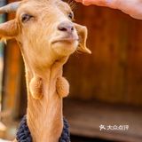 家人聚会私厨好去处～
