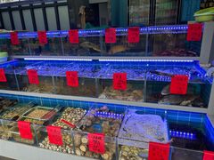 -金海湾海鲜排档(朱家尖店)