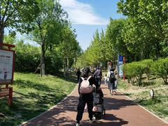 -天津东丽湖风景区