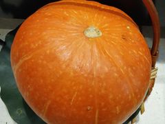 -再回头私房菜·老南京菜