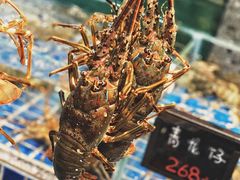-飞尝蚝·顺德菜·鱼生(顺德总店)