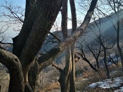 -阳台山自然风景区