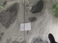 -延庆地质公园博物馆