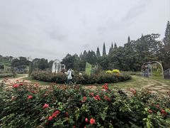 -花溪公园