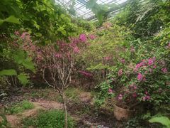 -呀路古热带植物园