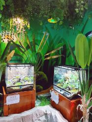 -酷嗒动物文化乐园(cutezoo西溪乐天城店)