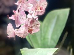 -上海自然博物馆
