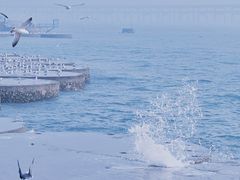 -星海广场
