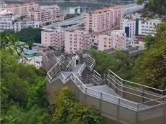 -福道