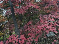 -九鼎铁刹山风景区