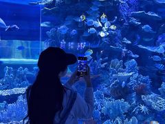 -左海海底世界