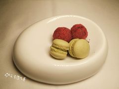 -蝶舍·MAISON PAPILLON