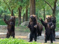 -北京野生动物园