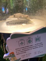 -酷嗒动物文化乐园(cutezoo西溪乐天城店)