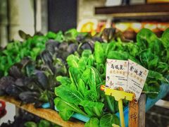 -颂福楼·南京菜(定淮门店)