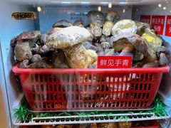 -太婆天府山珍酒楼(亚运村店)