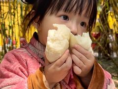 -西园寺素食(西园弄戒幢律寺店)