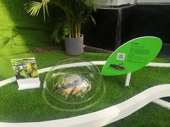 -深圳国际园林花卉博览园