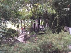 -包公祠