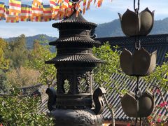 -灵隐飞来峰景区