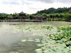 -星湖旅游景区七星岩