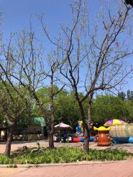 -大望京儿童游乐场