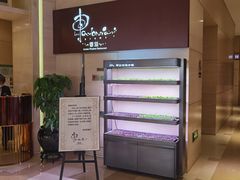 -河北宾馆·香溢自助餐(裕华店)