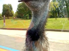 -常州淹城野生动物世界