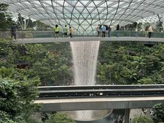 -新加坡乌节希尔顿酒店 (SG Clean)