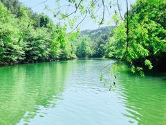 -青龙山国家森林公园