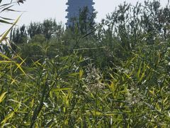 -永定河休闲森林公园