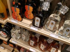 -维也纳国际机场