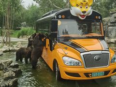 -北京野生动物园